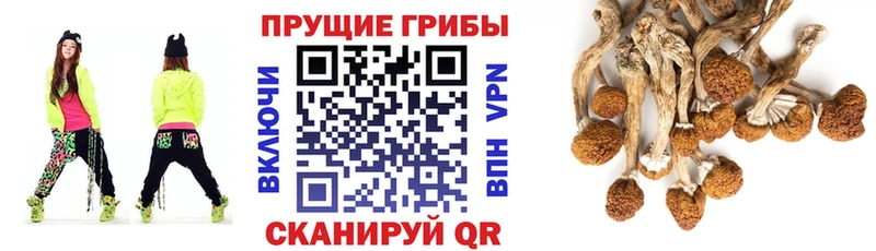 Псилоцибиновые грибы прущие грибы  наркотики  Кукмор 